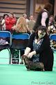 Crufts2011_2 1094